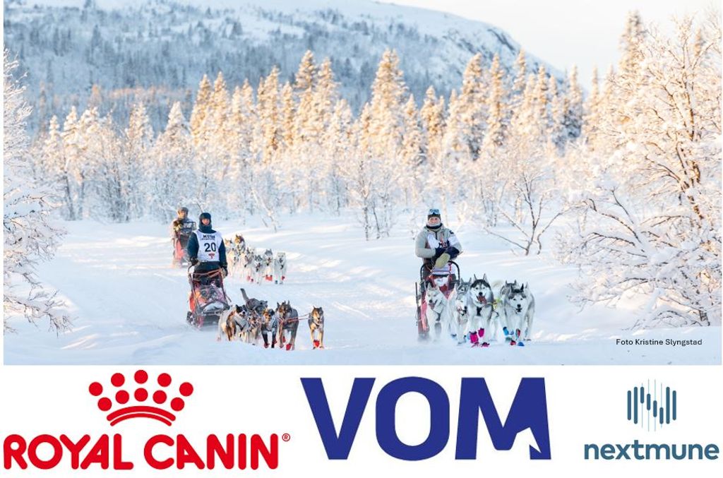 Den største glede du kan ha, det er å gjøre andre glad