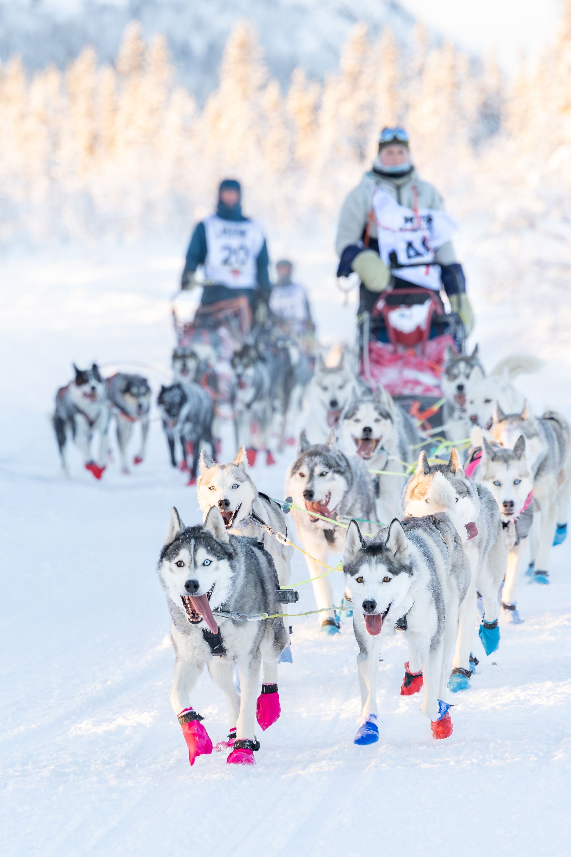MUSH Synnfjell 2016 - bilder tatt av Kristine Slyngstad