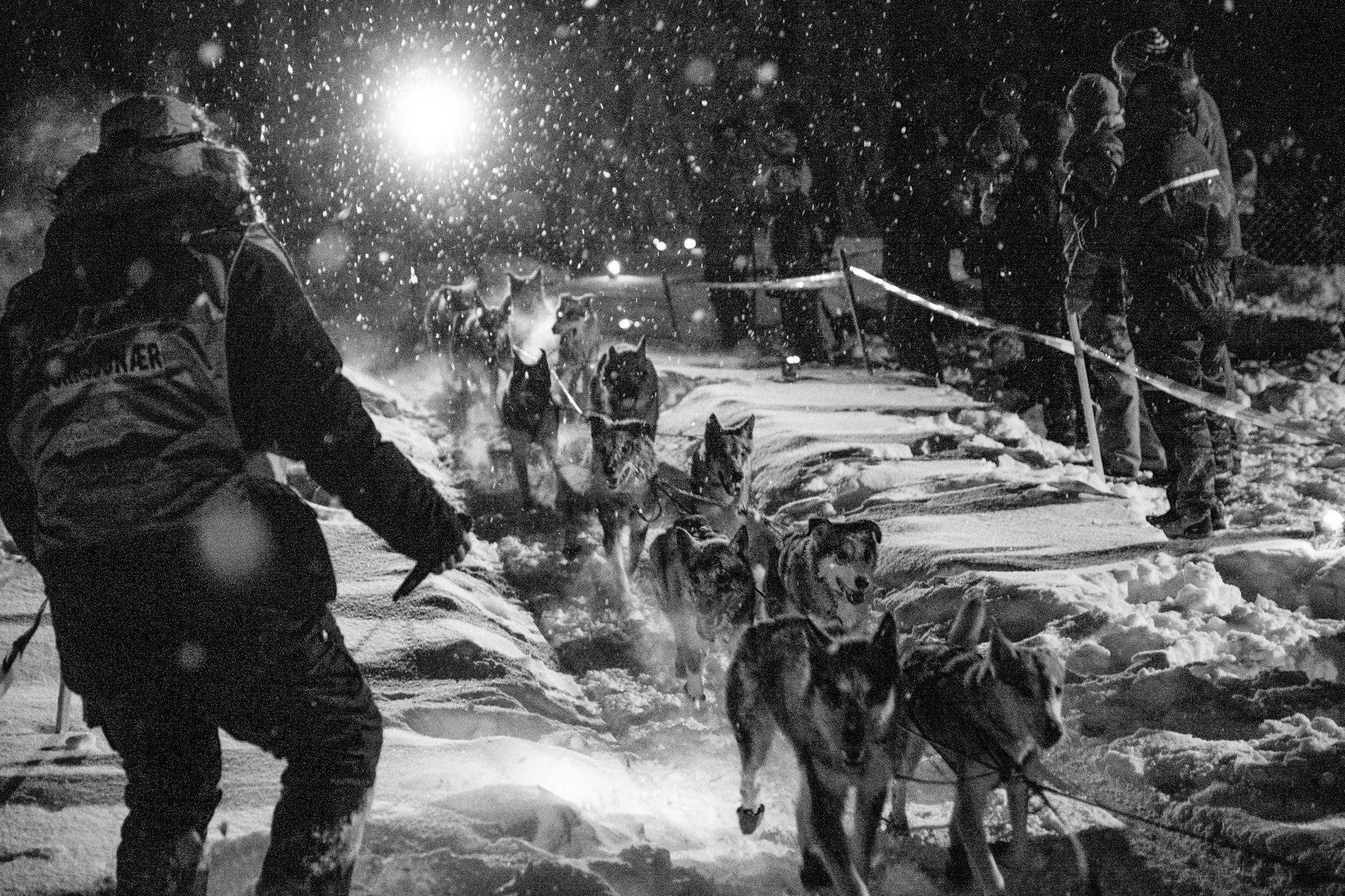 Foto Anders Rønningen 