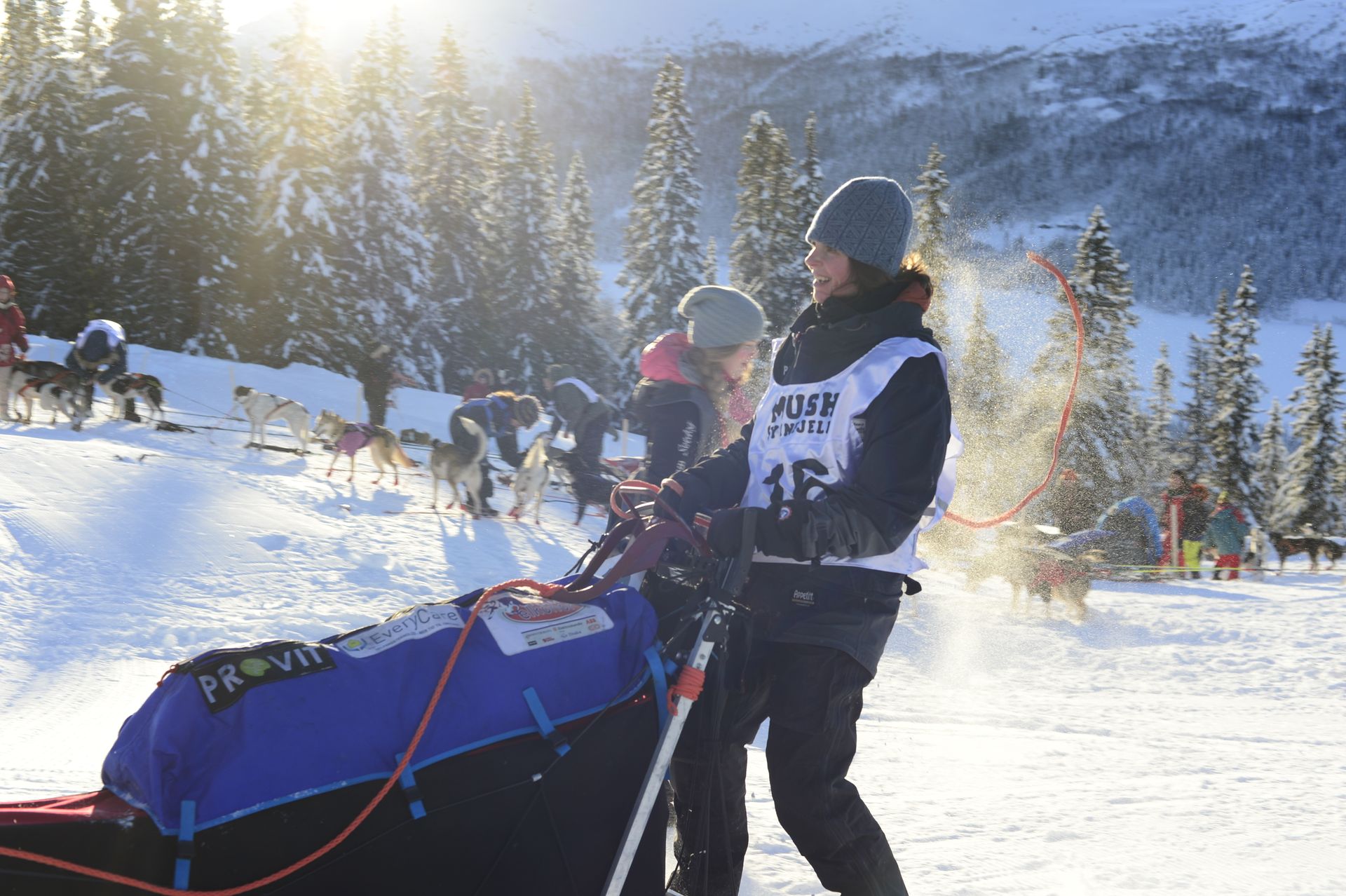 Foto Øystein Hvalsengen