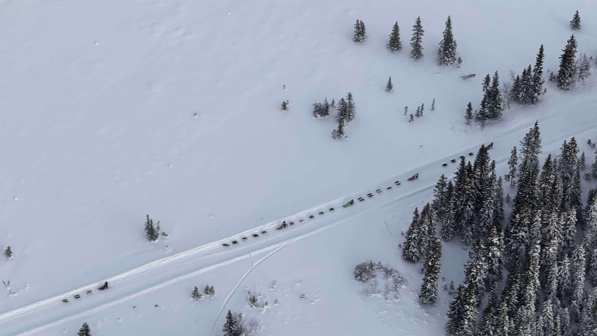 Dronefoto Henrik Vikse