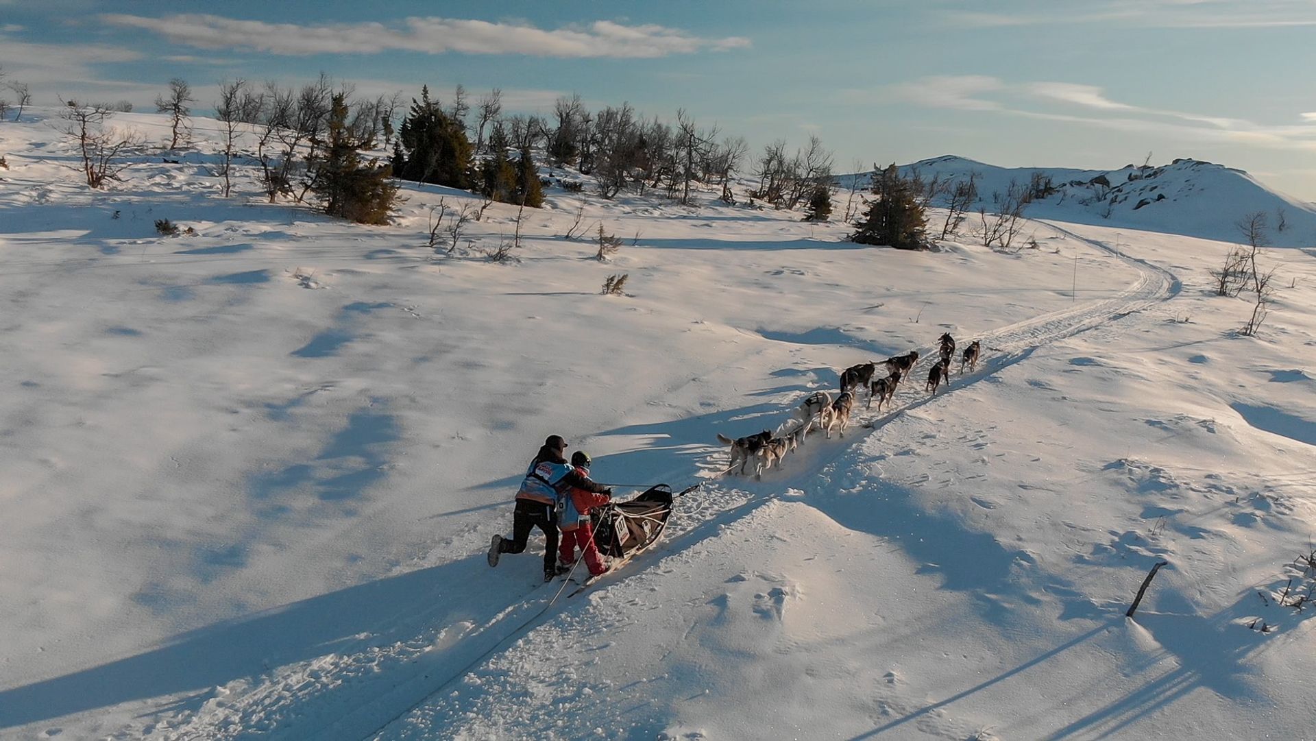 MUSH Synnfjell - et viktig løp for rekruttering av barn og unge 