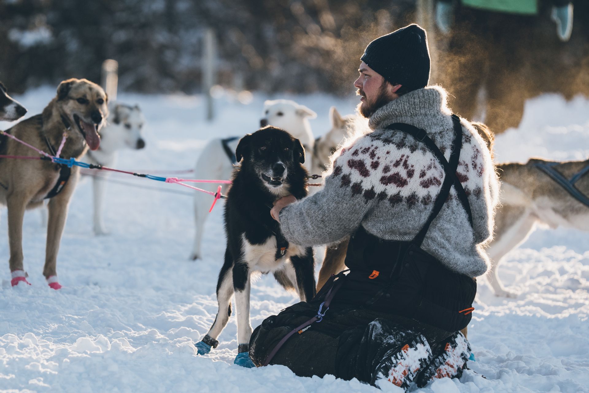 Foto Henrik Vikse/Edmé Van Rijn