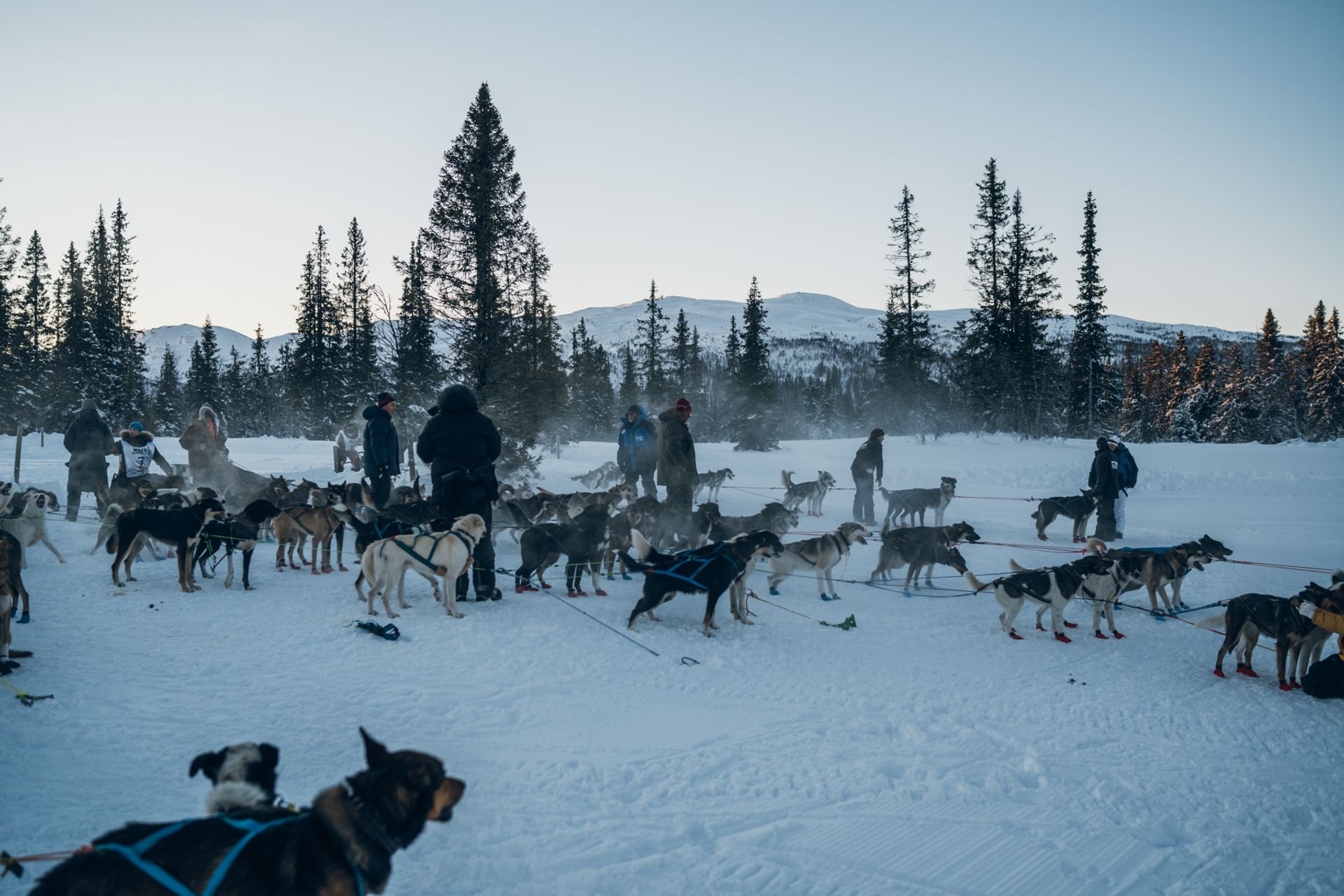 Foto HEdmée Van Rijn/Henrik Vikse