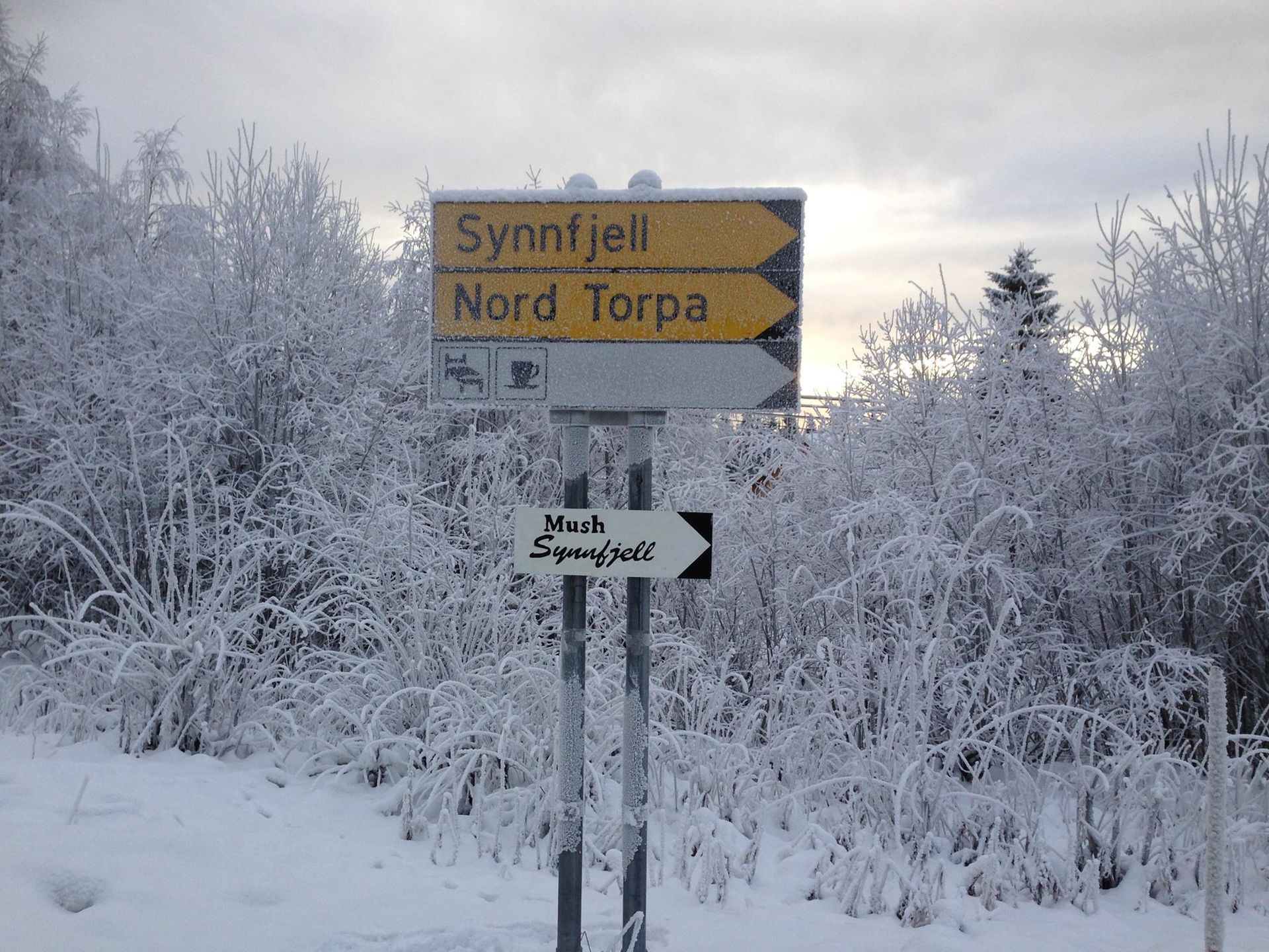 Spåtind Fjellhotell - tilbud for deltagere og støtteapparat