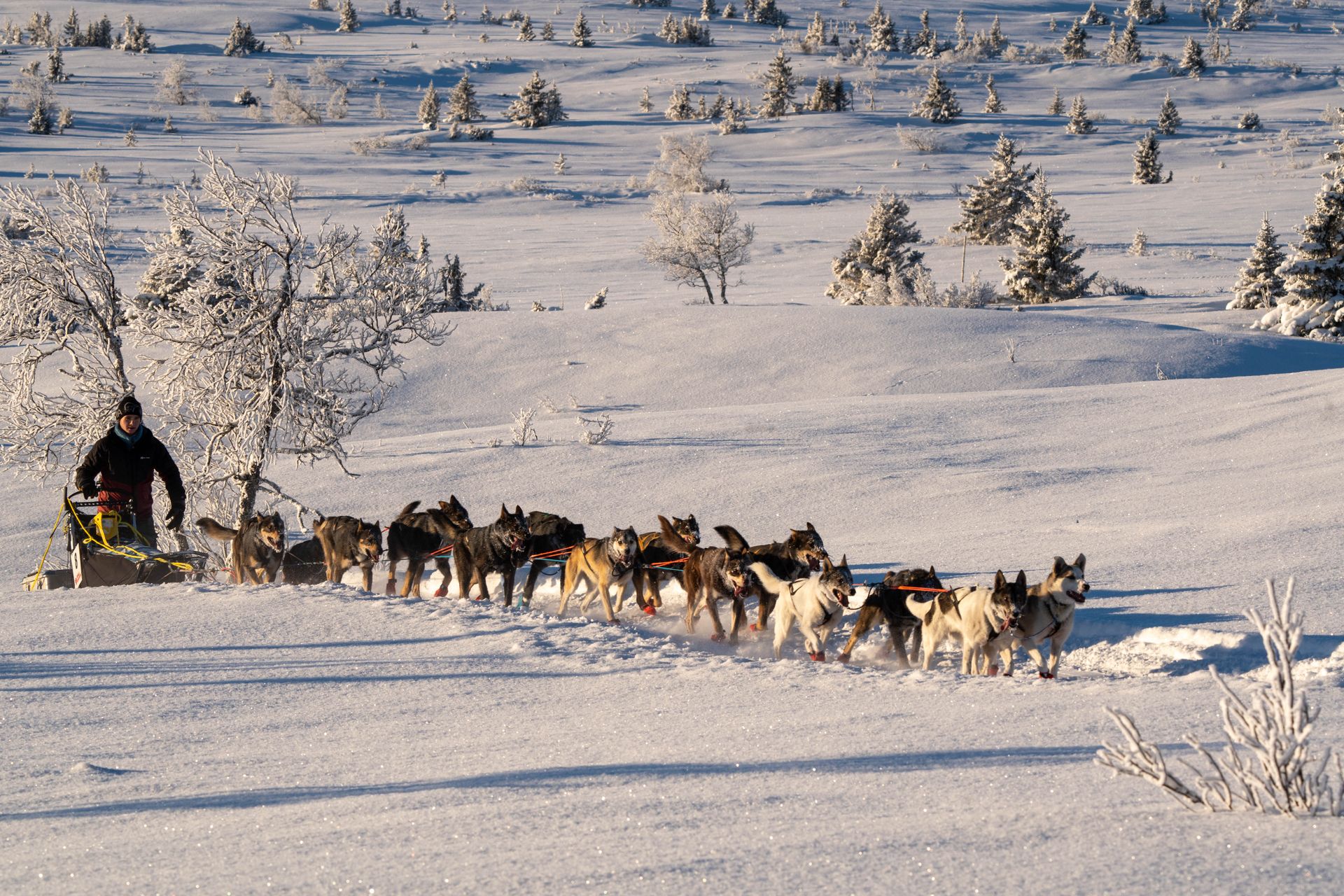 Foto Edmée Van Rijn/Henrik Vikse