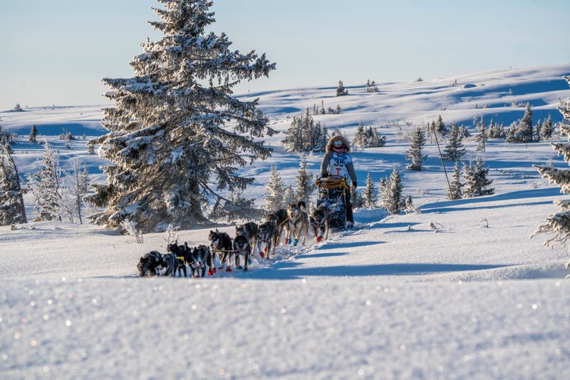 Bilder fra MUSH Synnfjell 2026 tatt av Edmée Van Rijn og Henrik Vikse