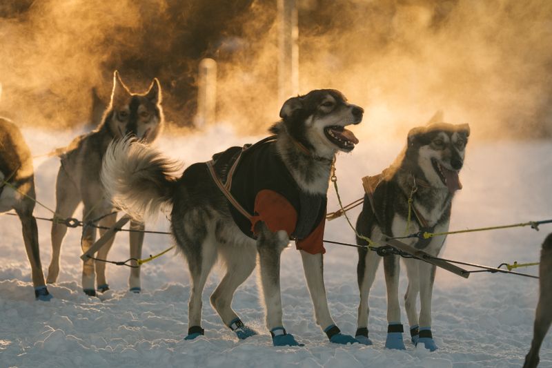 Beredskapsplan og presentasjon fra kjørermøtet 