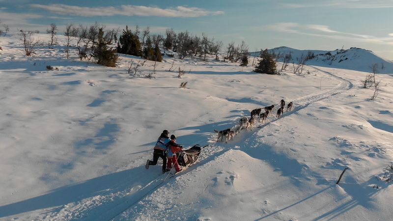 MUSH Synnfjell - et viktig løp for rekruttering av barn og unge 