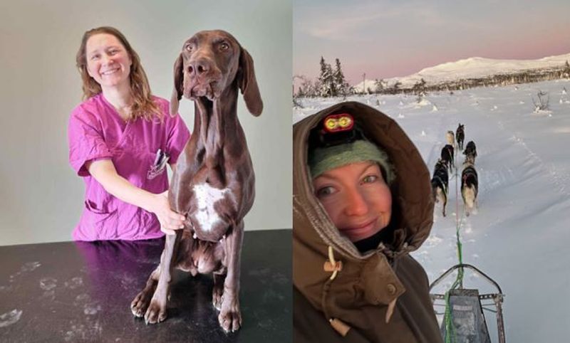 Velkommen til løpsveterinærene for MUSH Synnfjell 2026 