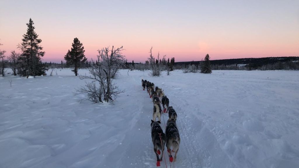 Store spann, små spann, kvinner og menn, unge og godt voksne