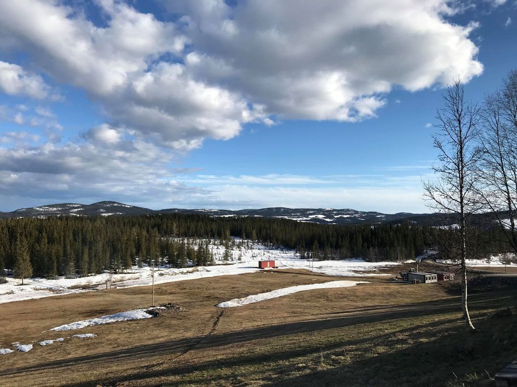 Vårpuss på sjekkpunkt Halden